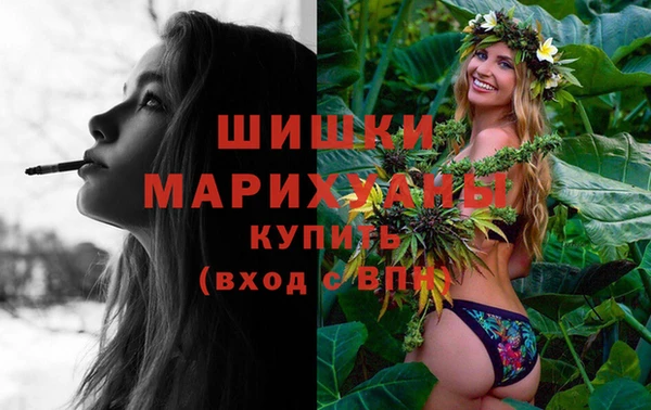 мдма Заводоуковск