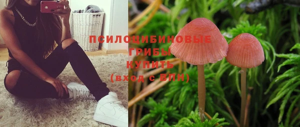 а пвп мука Заволжье