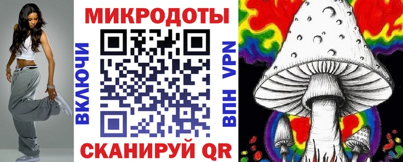 Псилоцибиновые грибы Cubensis  mega вход  Избербаш 